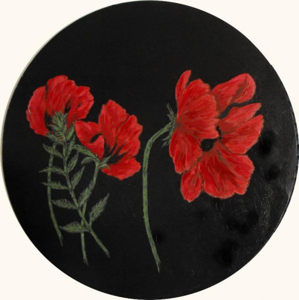 Poppies1 (2).JPG