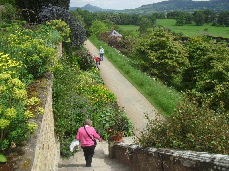 Powis Castle (19).JPG