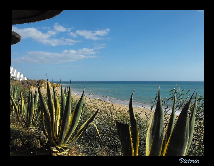 Praia da Oura2 11'11'10.jpg