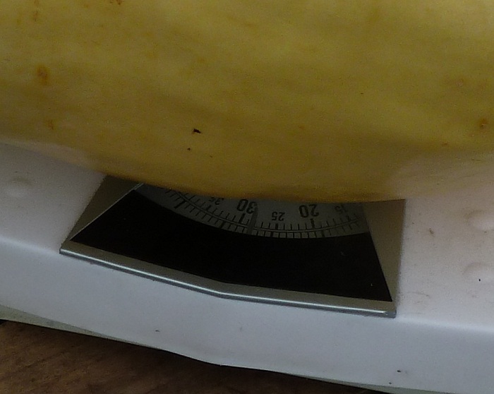 pumpkin21.09.12 scales.jpg