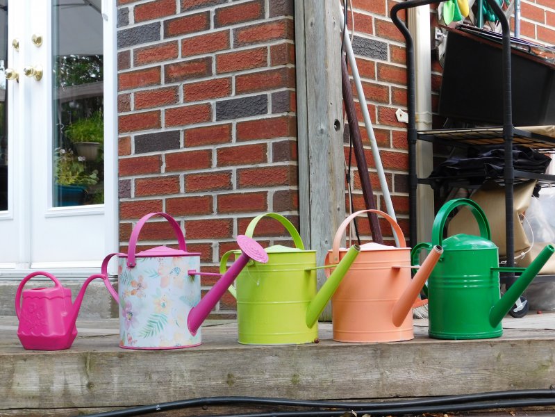 Rain Watering Cans.JPG