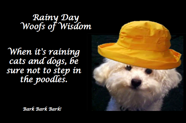 rainy-day-woofs-of-wisdom.png