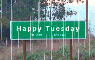 Rainy Tuesday.gif