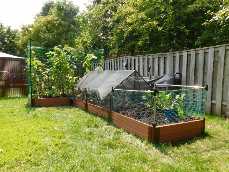 Raised bed so far.JPG