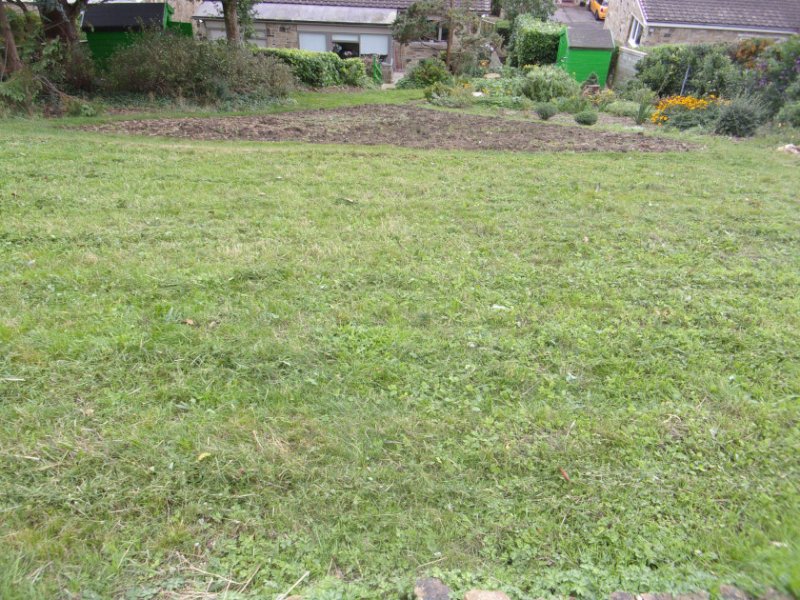 Rear garden_0005.JPG