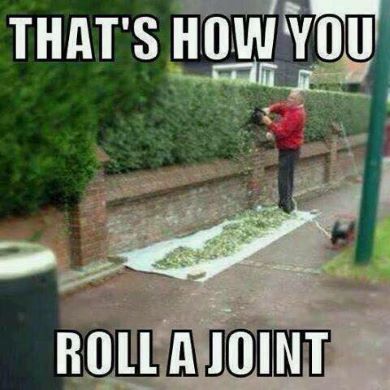 Roll a joint.jpg