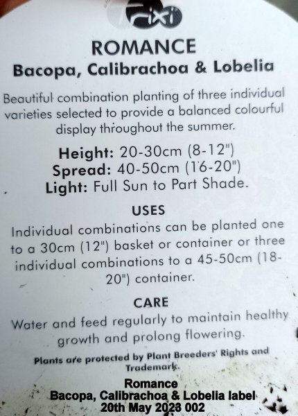 Romance - Bacopa, Calibrachoa & Lobelia label 20th May 2023 002.jpg