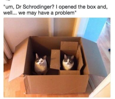 Schroedinger.jpg