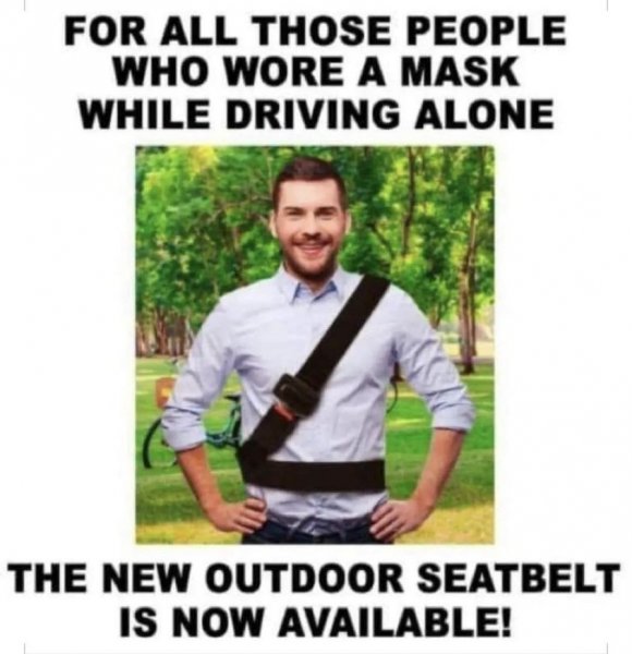 Seatbelt.jpg