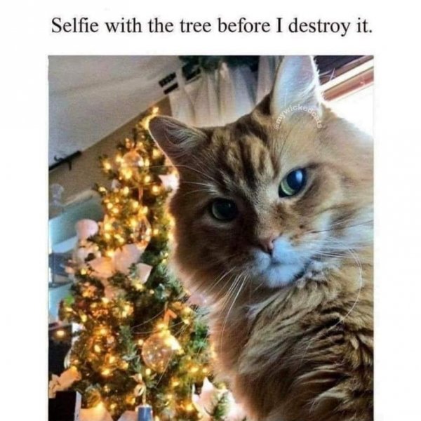 Selfie.jpg