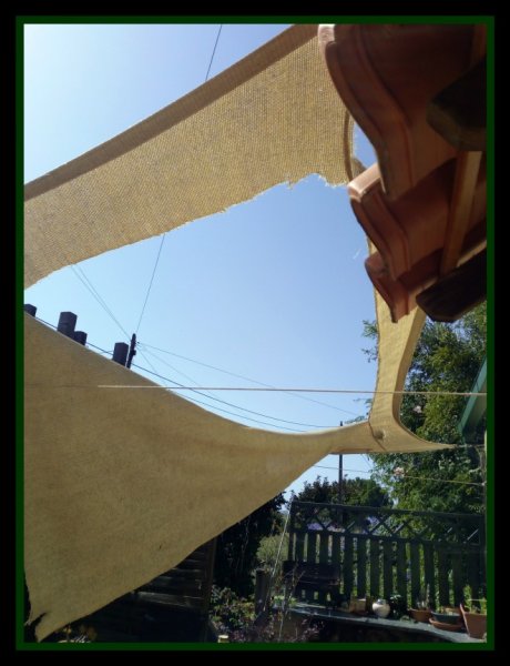 Shade Sail Gone2 May 20.jpg