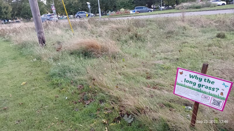 Sign in long grass on Hartford Road Huntingdon 23rd September 2023.jpg