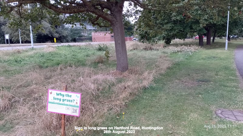 Sign in long grass on Hartford Road Huntingdon 26th August 2023.jpg