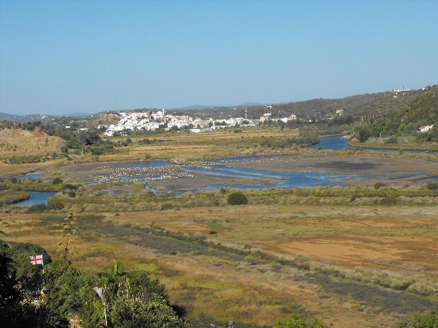 Silves & Storks in Wetlands 31 Aug 12.jpg