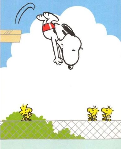 Snoopy Dive.jpg