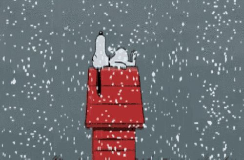 snoopy-snow-day.jpg