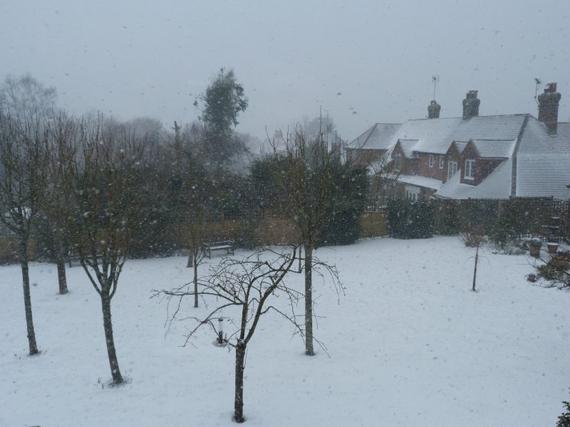 snow this morning   11 March 2013 006.JPG