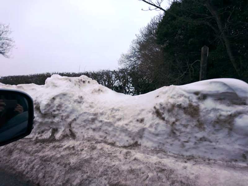 snow verge.jpg1.jpg