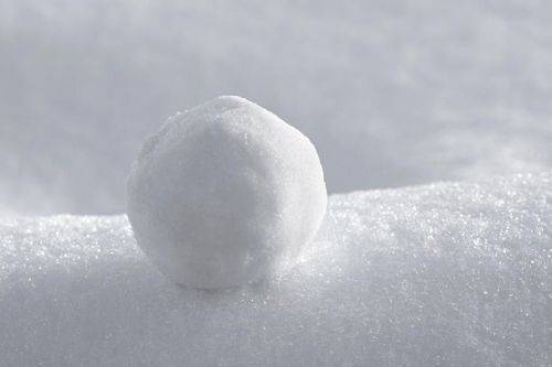 Snowball.jpg