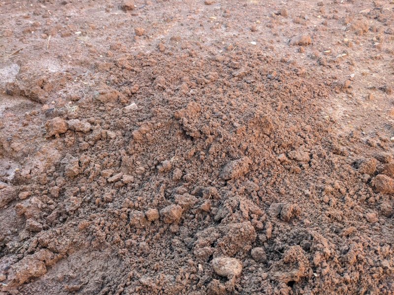 soil1.jpg