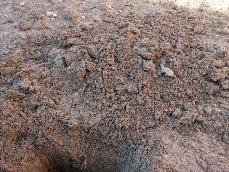 soil2.jpg