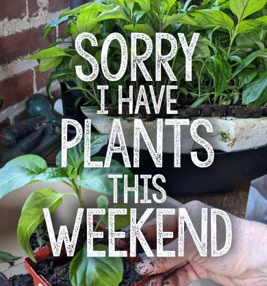 Sorry I have plants.jpg