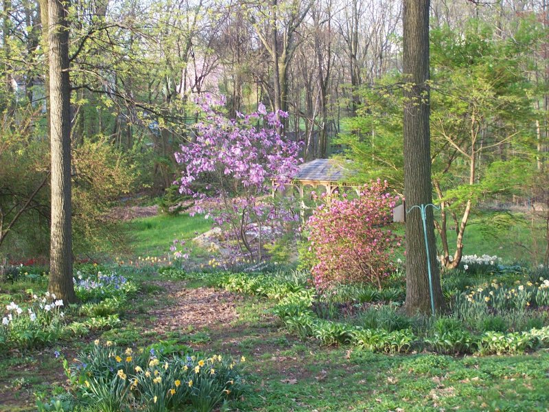 spring kitchen view.jpg