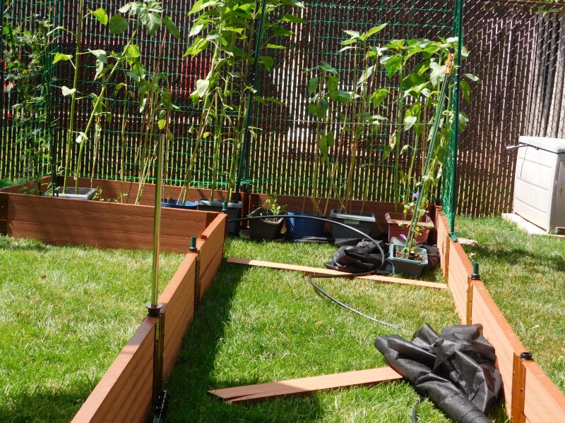 start of raised beds july 2016 (2).JPG