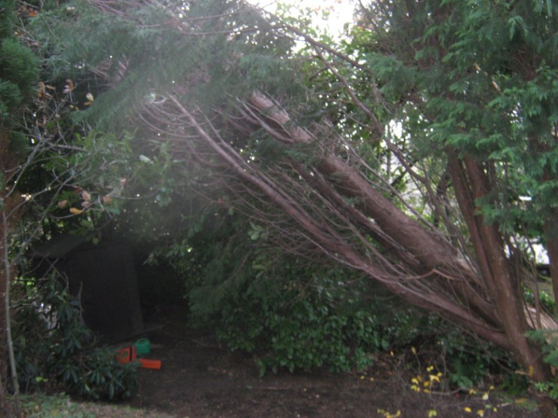 Storm damage_0001.JPG