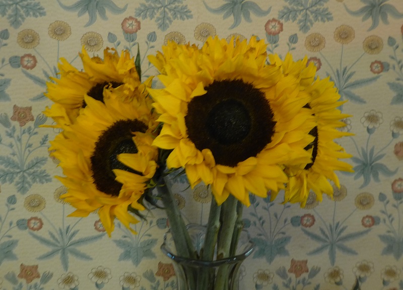 sunflowers2.jpg