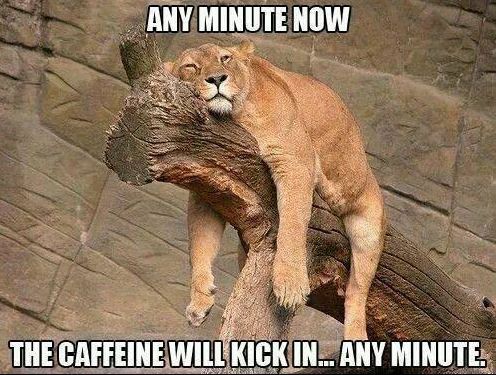 The caffeine will kick in..jpg