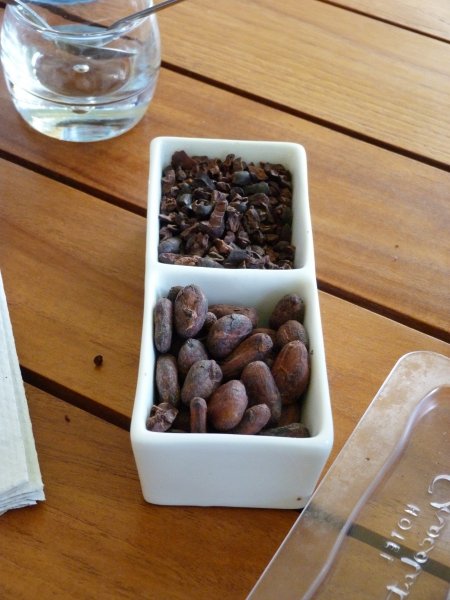 The story of chocolate  the crushed bean ready for grinding.jpg