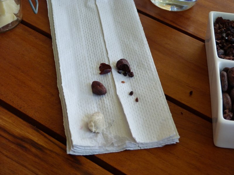 The story of chocolate the white raw bean and the roasted nut inside - shell removed.jpg