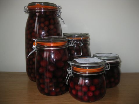 tn_Sloe jars IMG_0848.JPG