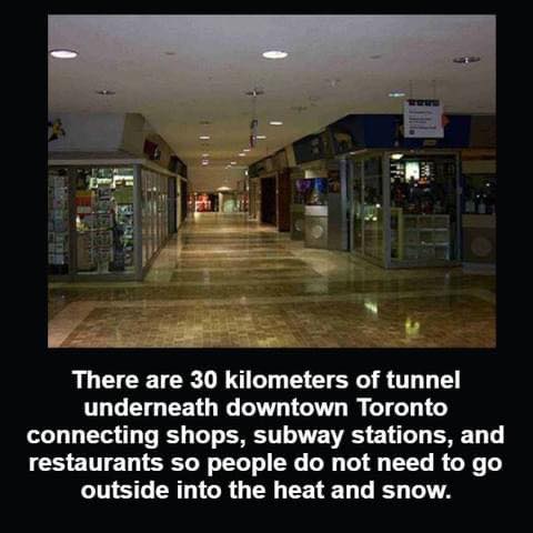 Toronto.jpg