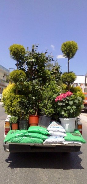 transporting-plants.jpg