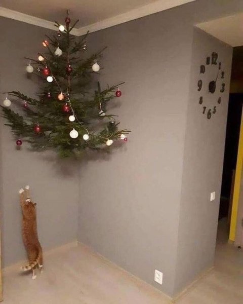 Tree Up.jpg