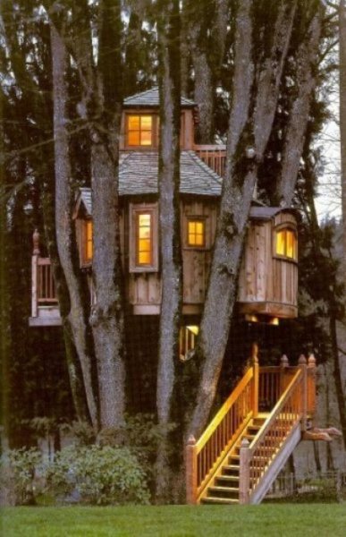 Treehouse1.jpg