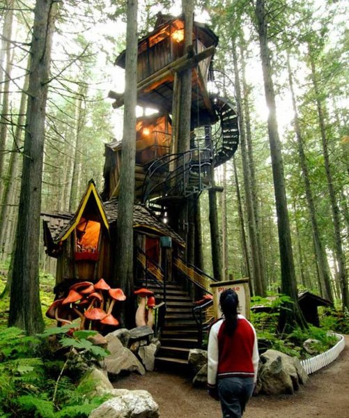 Treehouse2.jpg