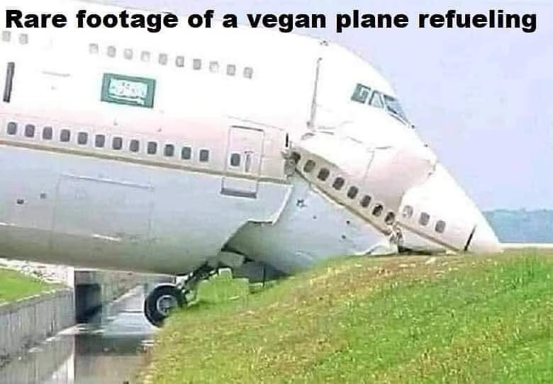 vegan.jpg