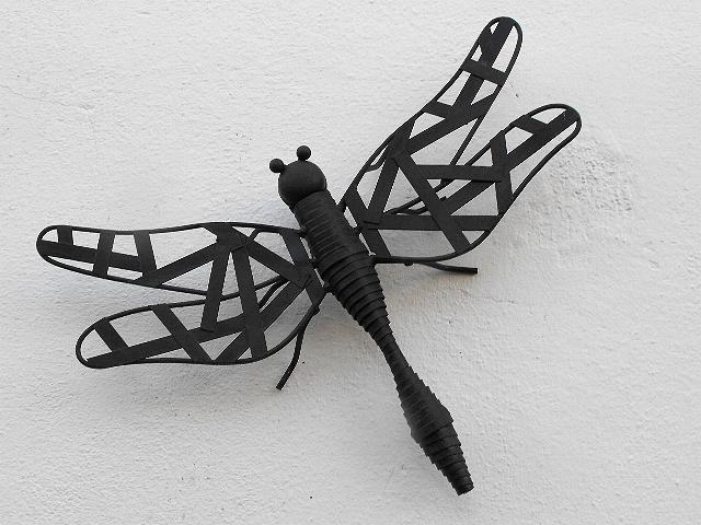 Wall Dragonfly.JPG