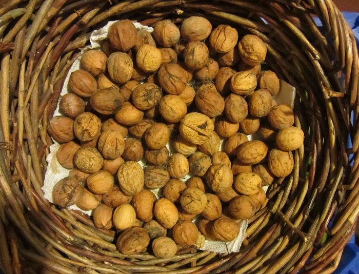 walnuts.jpg