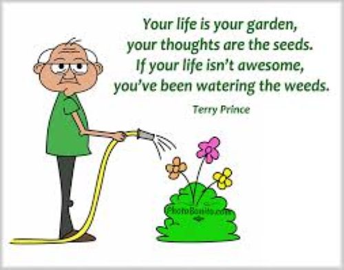 Watering Weeds.jpg