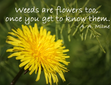 WEEDS ARE FLOWERS TOO.jpeg