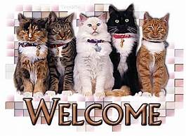 Welcome Cats.jpeg