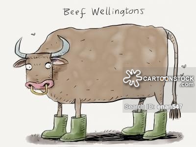 Wellington Boots cartoons, Wellington Boots cartoon, funny, Wellington ___.jpg