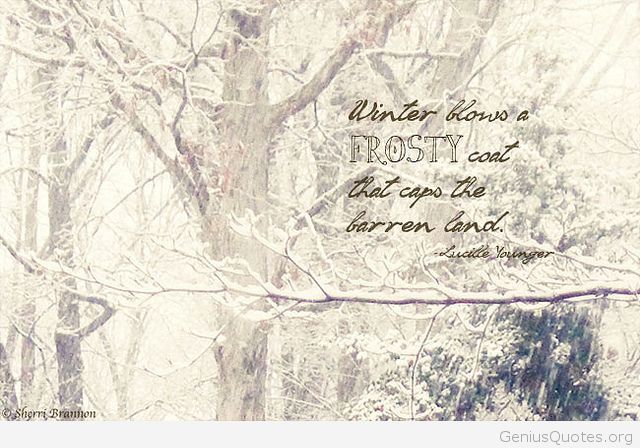 Winter-knows-a-frosty.jpg