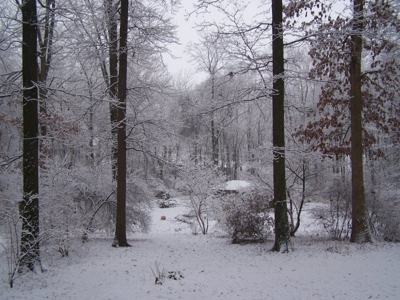 winter view.jpg