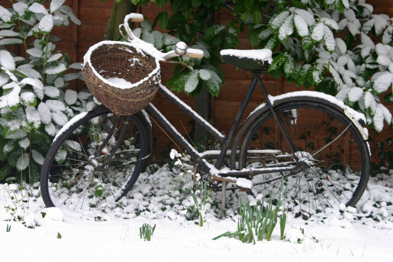 winterbike.jpg