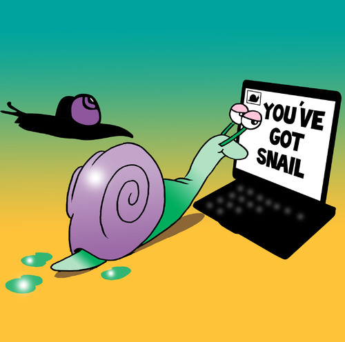 you_got_snail_732235.jpg